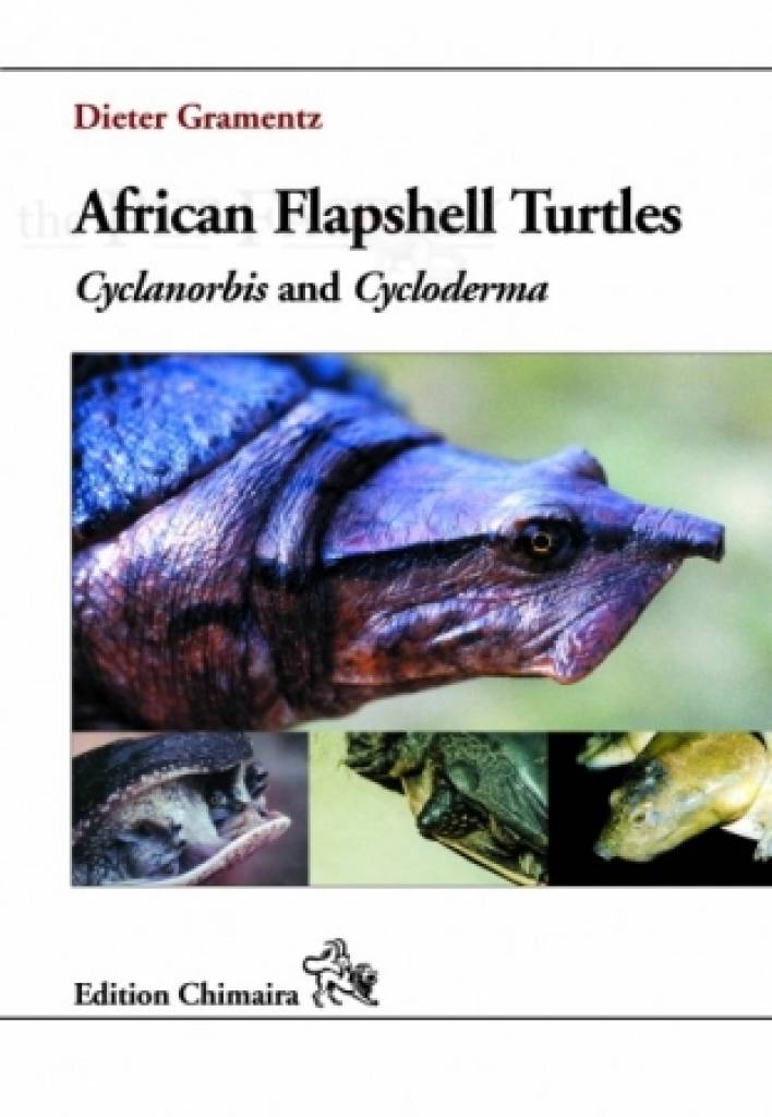 African Flapshell Turtles. Cyclanorbis and Cycloderma